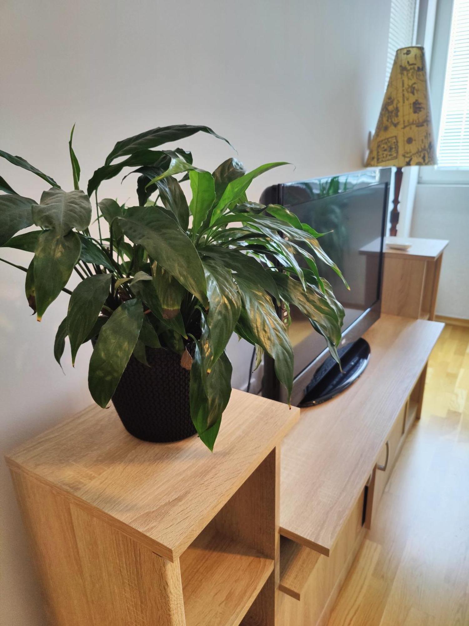 Apartman Aleksic Ni Dış mekan fotoğraf